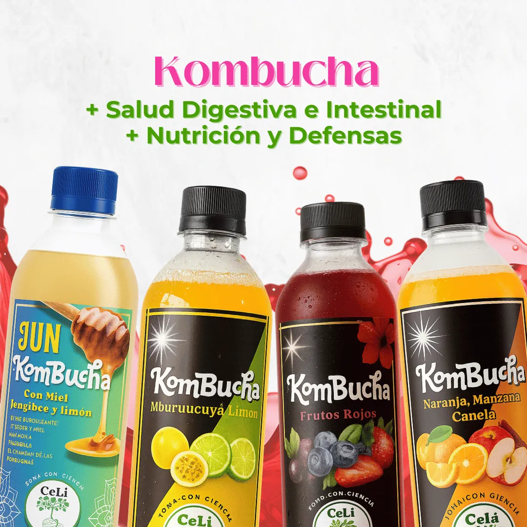 Kombucha Celi Fermentos